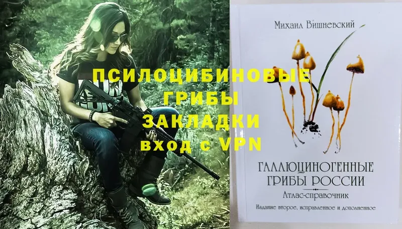 даркнет официальный сайт  магазин    Бежецк  Галлюциногенные грибы прущие грибы  hydra маркетплейс 